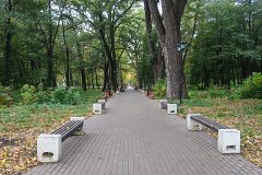  Дорожка Нижнего парка в Липецке