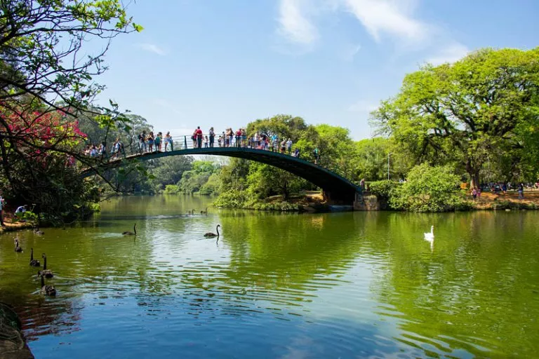 Главные достопримечательности Бразилии - Парк Ибирапуэра