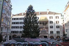 Дом с золотой крышей и рождественская елка в Инсбруке