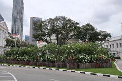 singapore-city-146.jpg
