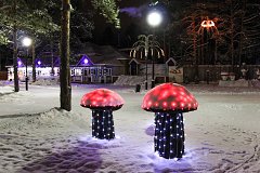 Светящиеся грибочки  в вотчине Деда Мороза