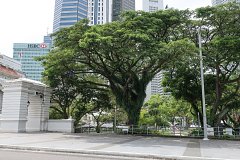singapore-city-148.jpg