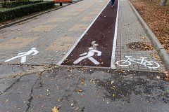 Дорожки для пешеходов, бегунов и велосипедистов на улице Ленина в Липецке