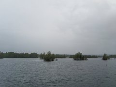 Берег Онежского озера в Карелии