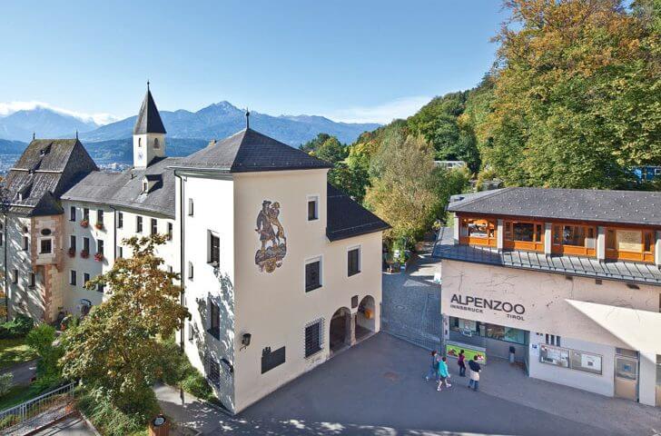 Главные достопримечательности Инсбрука - Альпийский зоопарк