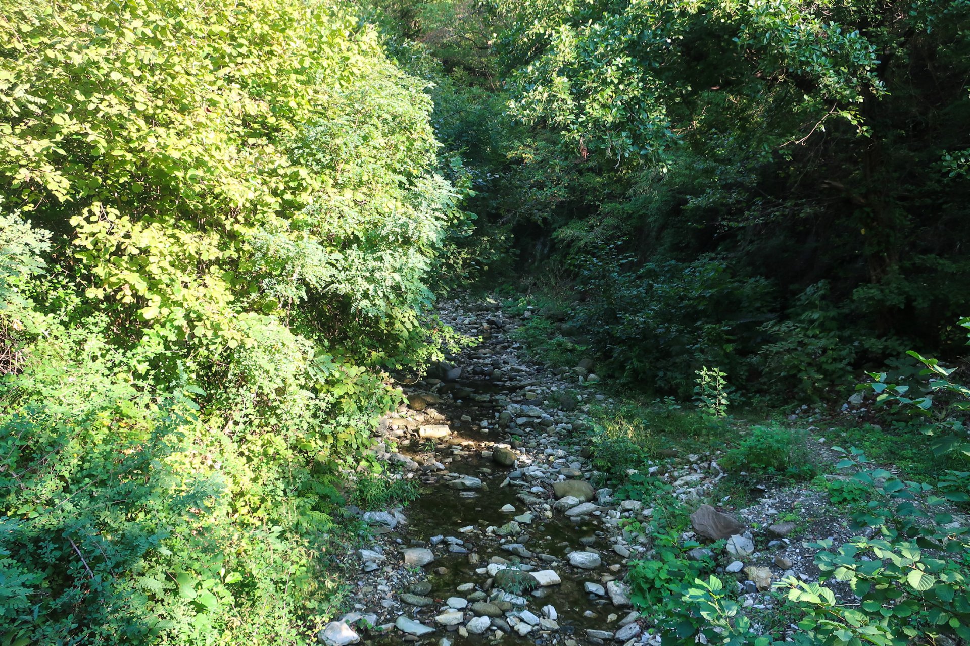 Река Свирка в Свирском ущелье