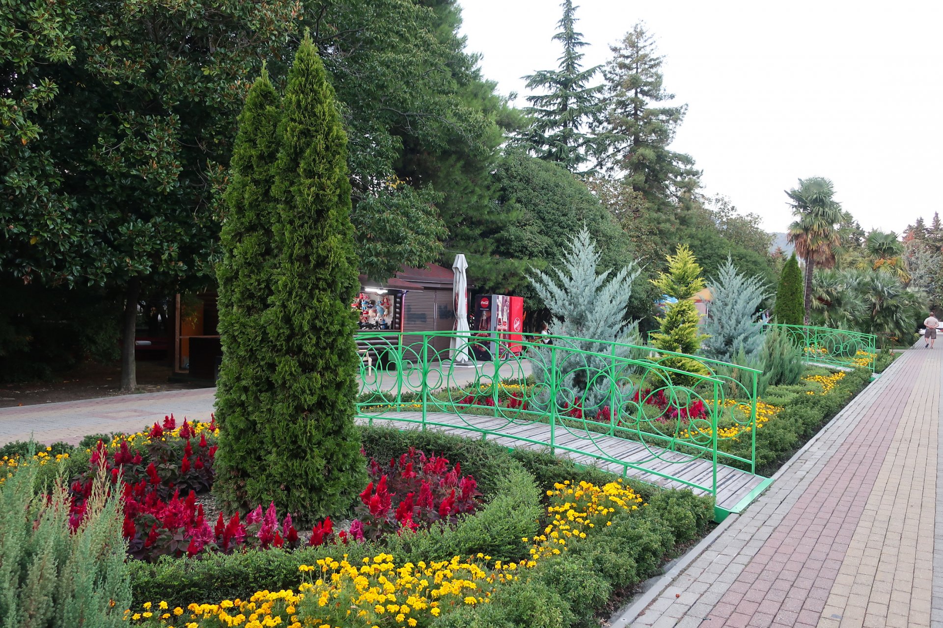Растения в парке культуры и отдыха в Лазаревском