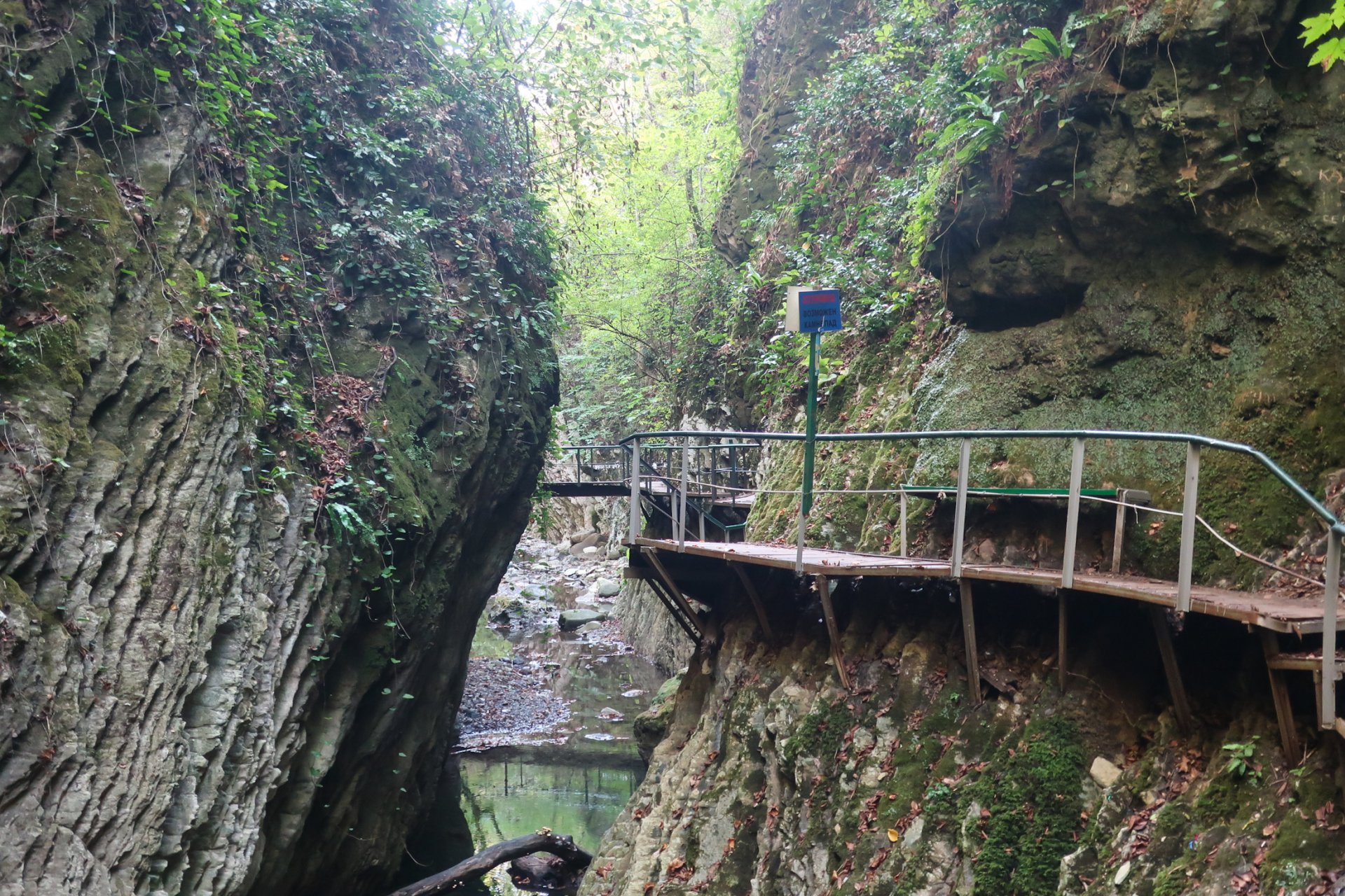 Путь от Свирского водопада назад